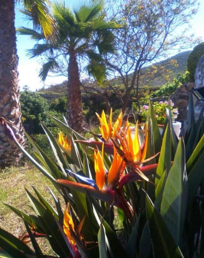 La Casita Ma Petite Folie Tenerife サンタクルスデテネリフェ エクステリア 写真