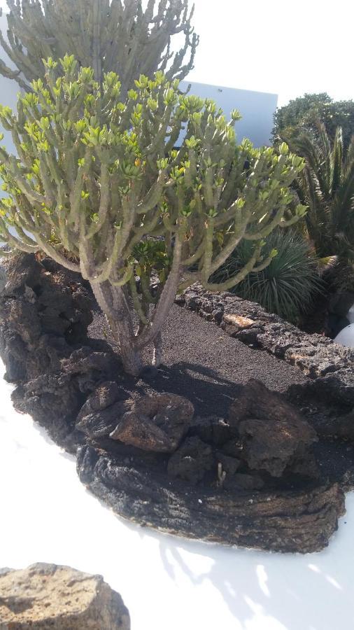 La Casita Ma Petite Folie Tenerife サンタクルスデテネリフェ エクステリア 写真